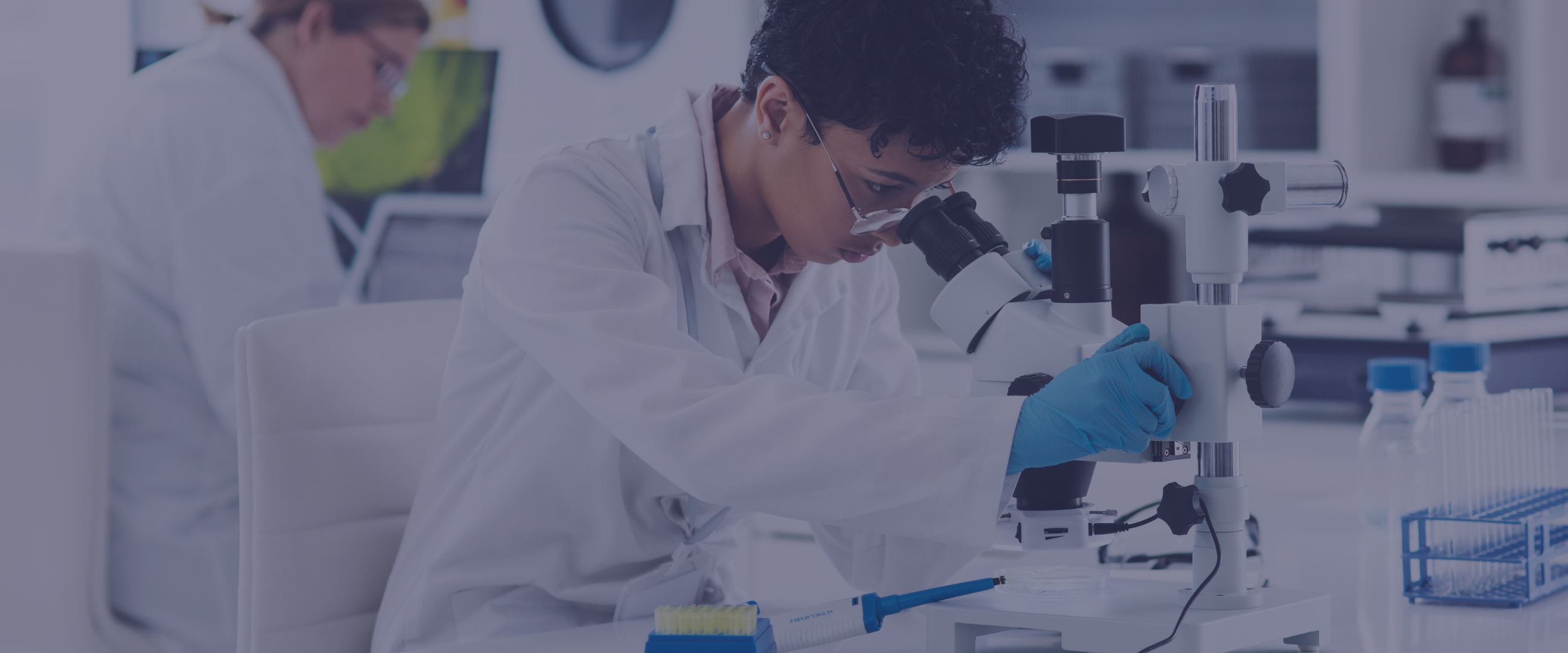 Global Distribution Network